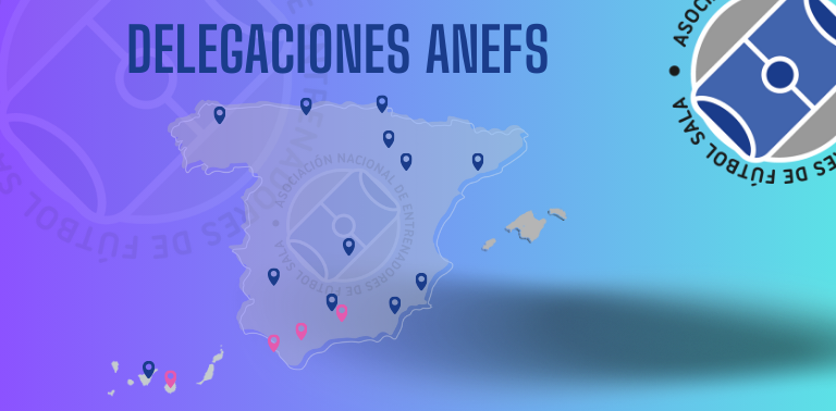 Areas de trabajo ANEFS